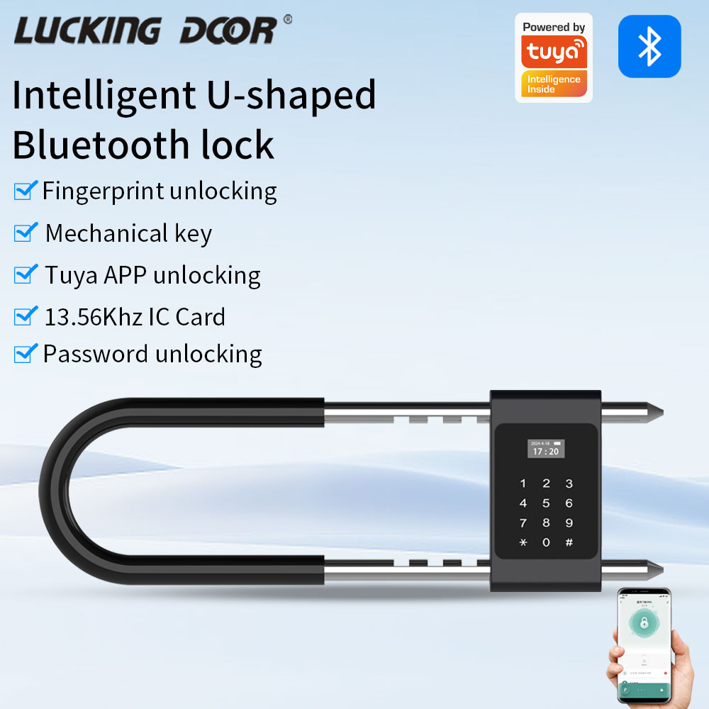 電子生体認証指紋ロックサポート Tuya APP 制御 Bl - Smart Door Lock Wifi のレビューと価格